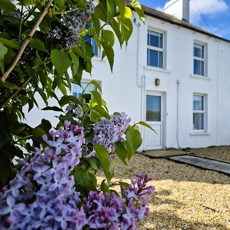 The Alpaca Farmhouse With Hot Tub And Alpaca Experience Included Dromara エクステリア 写真