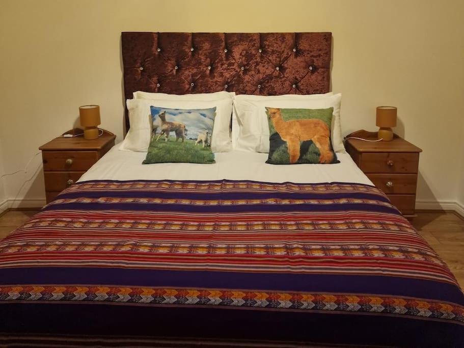 The Alpaca Farmhouse With Hot Tub And Alpaca Experience Included Dromara エクステリア 写真