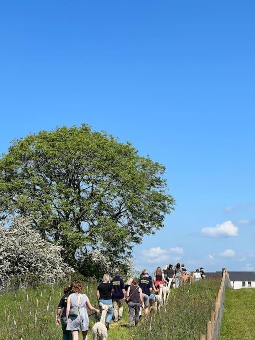 The Alpaca Farmhouse With Hot Tub And Alpaca Experience Included Dromara エクステリア 写真