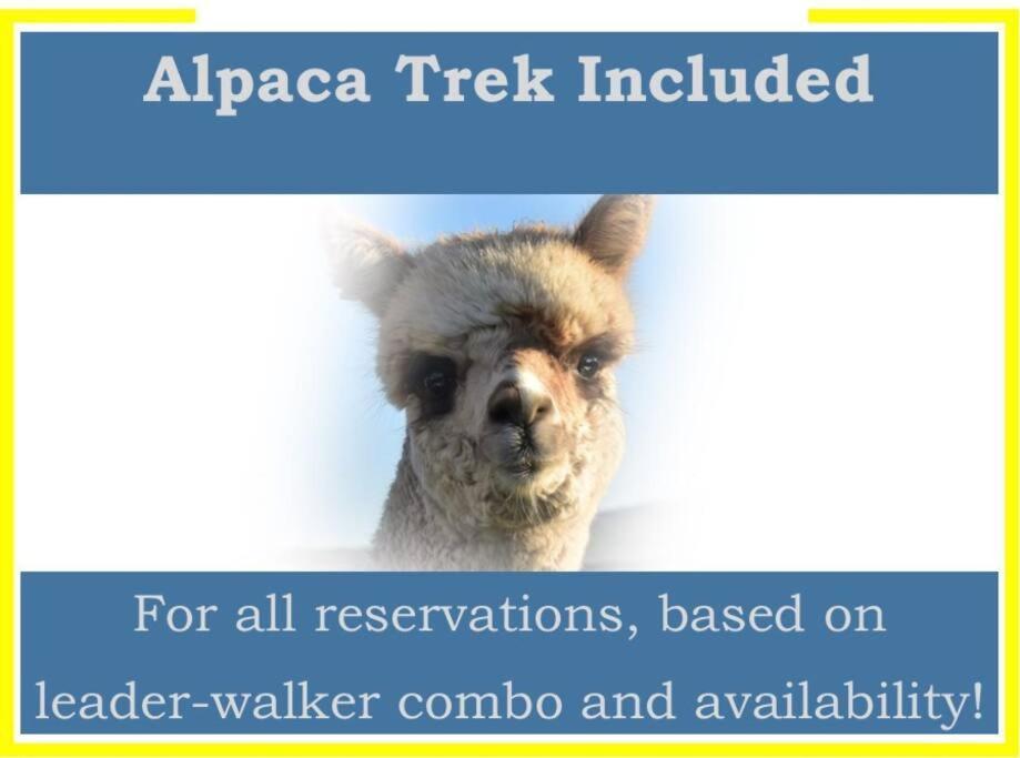 The Alpaca Farmhouse With Hot Tub And Alpaca Experience Included Dromara エクステリア 写真